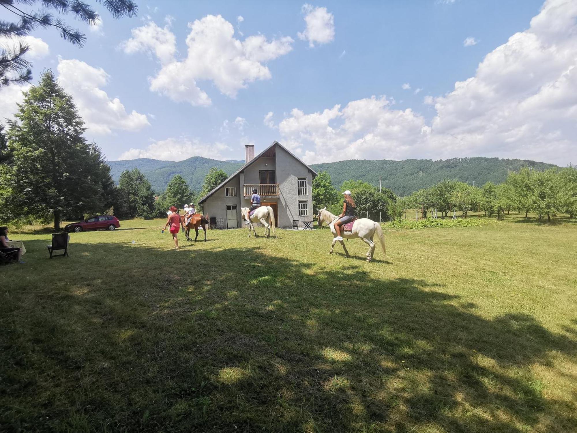Pine Corner Mojkovac Apartamento Exterior foto